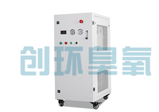 平谷石斑鱼养殖水质调控完整指南:臭氧发生器配置与操作步骤