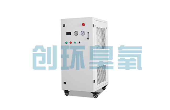 平谷比传统换水更高效?臭氧发生器在石斑鱼养殖中的水质净化原理解析