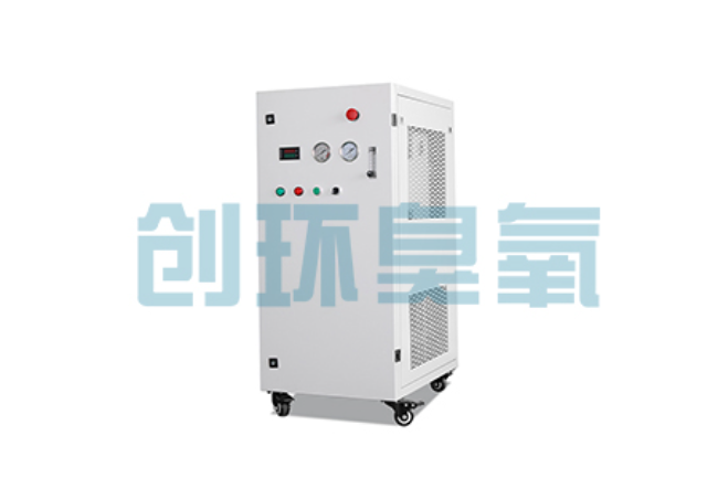 平谷比传统换水更高效?臭氧发生器在石斑鱼养殖中的水质净化原理解析